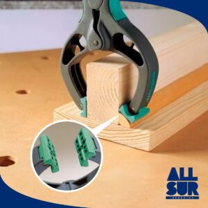 Pinza Con Resorte Fz 40mm Desp Ic04-046176p (2)