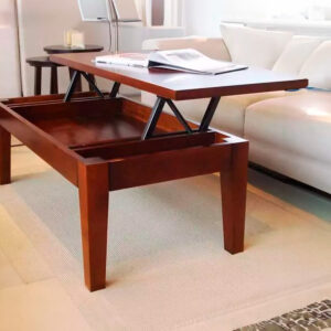 Bisagra Elevable 420mm Negra - Juego (2)