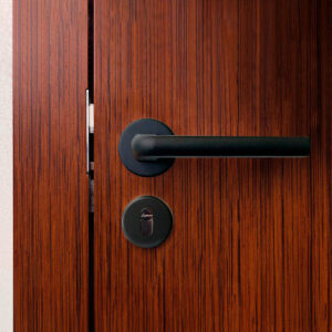 Anto Doble Balancin Con Boca Negro (2)